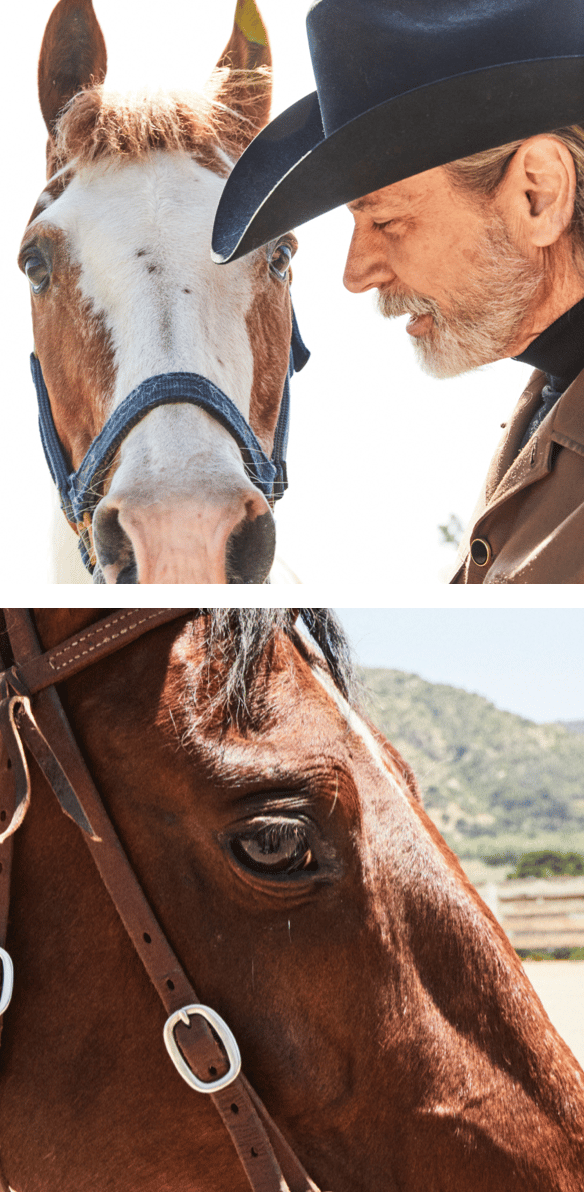 patrick with horse