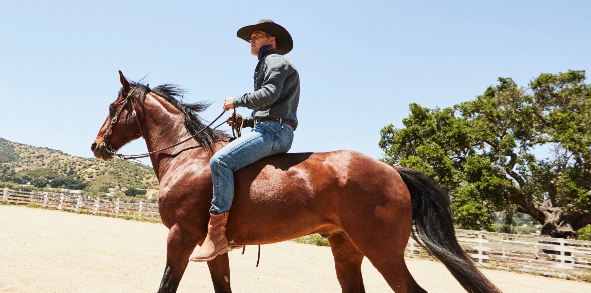 zane and his horse